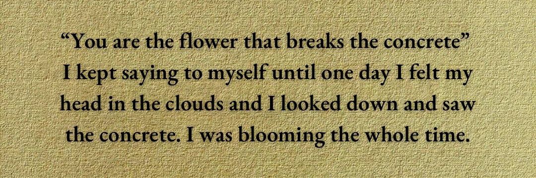 Bennie is VOGUE!🌼 banner