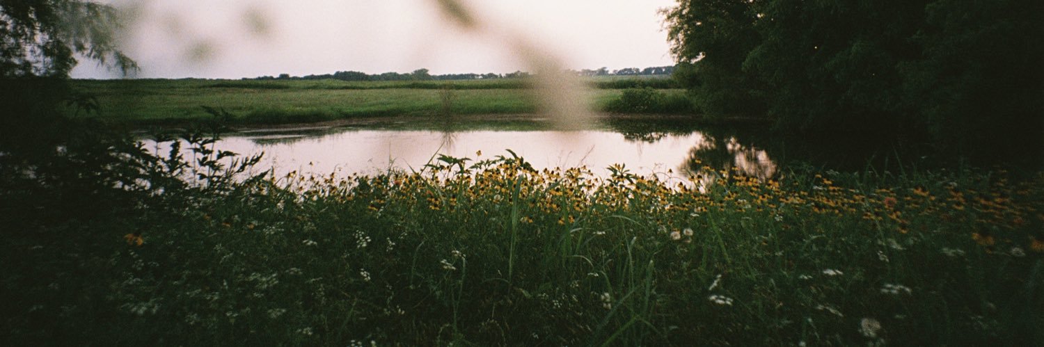 tatumshea's profile banner image