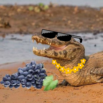 Jacaré Fã de Uva banner