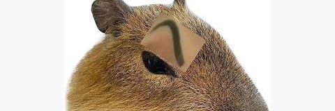 engoeshot's profile banner image