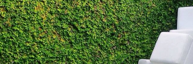 restogardenbar's profile banner image
