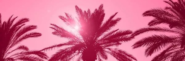 Cookie_Power's profile banner image