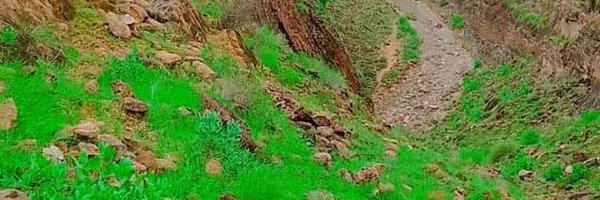 Muddasir951 Profile Banner