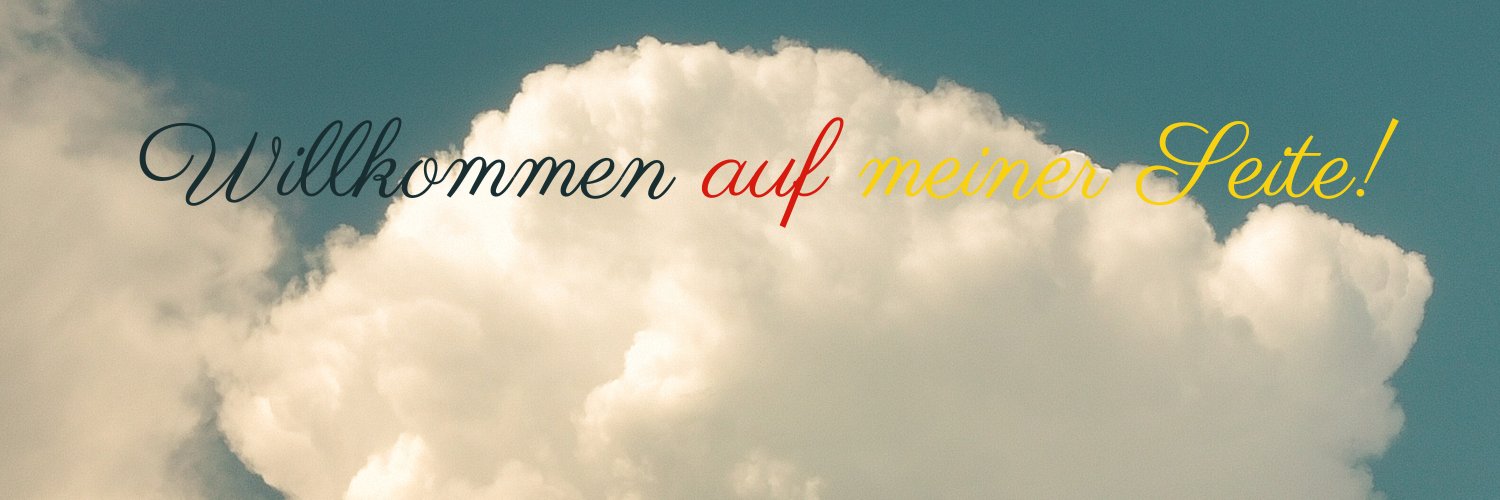 aska🇩🇪【日独通訳xドイツ人サポート】”伝わる”が仕事です banner