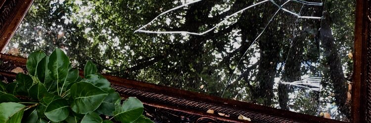 athingtoflout's profile banner image