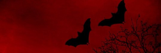 inthemausoleum's profile banner image