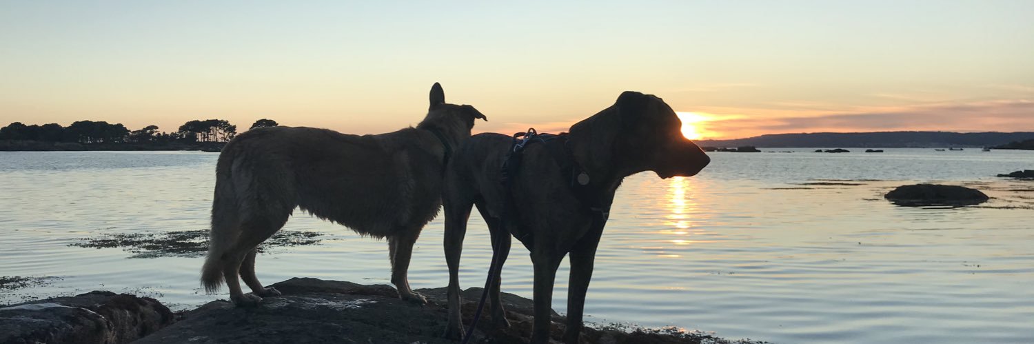 lurkanie banner