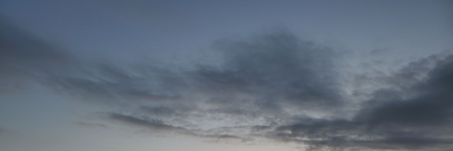 oryaryaorya's profile banner image