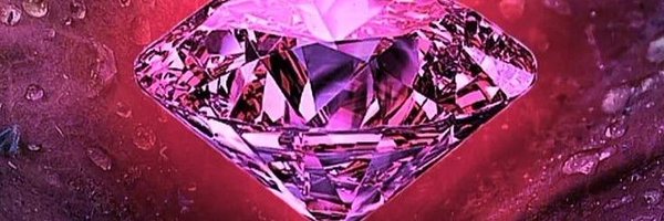 Z_RUBY_ Profile Banner