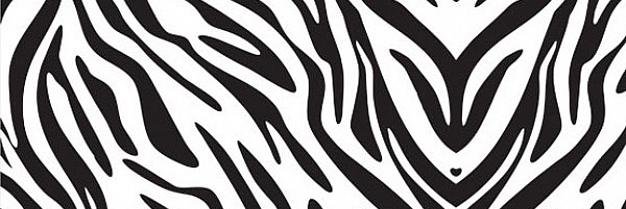 carolinehusss's profile banner image