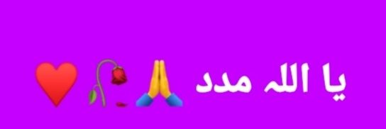 Ameer Hamza banner