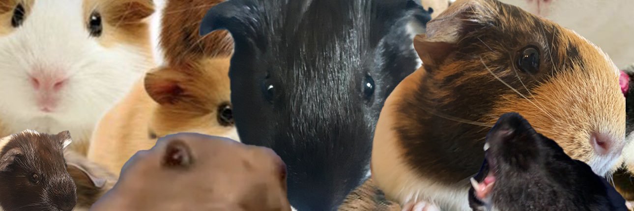 Kay_Petey's profile banner image