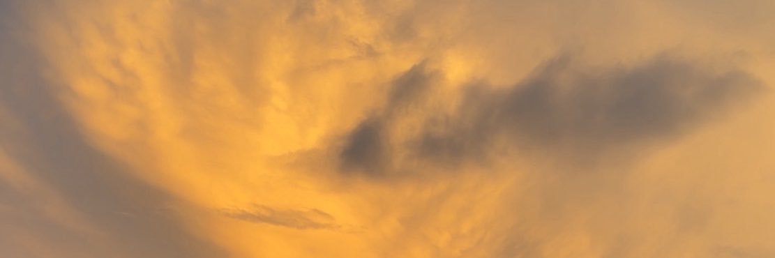 Empress1620's profile banner image