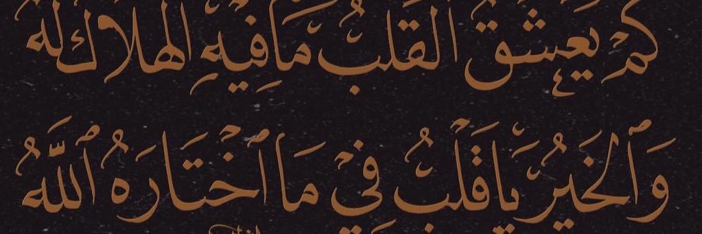 %100 banner