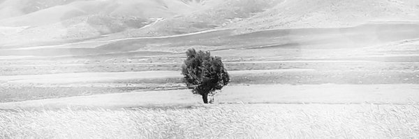 MiPix_NFT Profile Banner