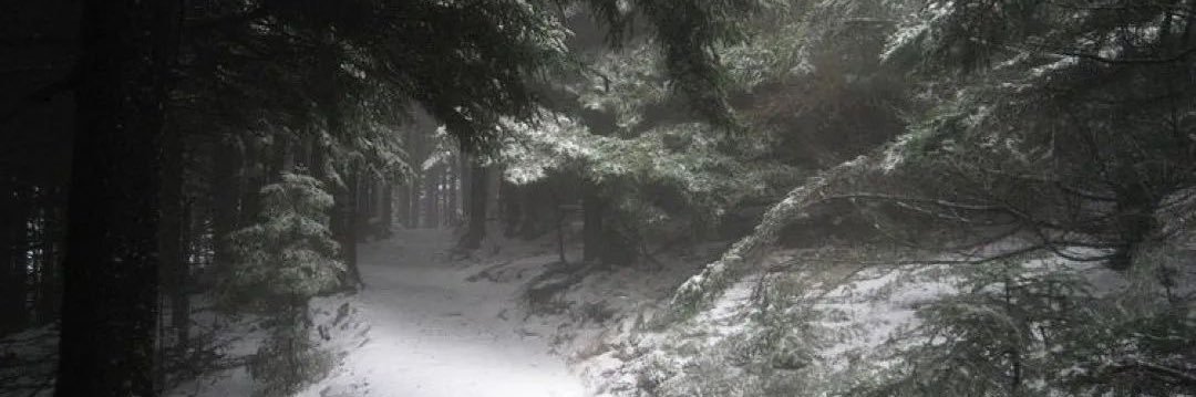 slv11y's profile banner image