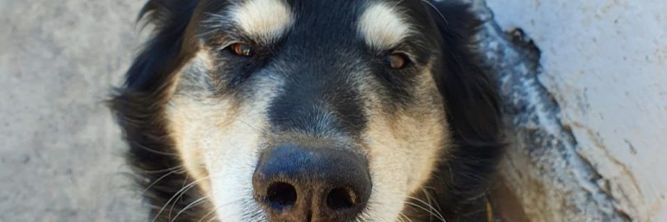 Stemum's profile banner image