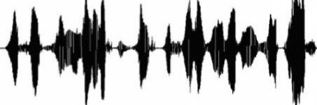 Tessi banner