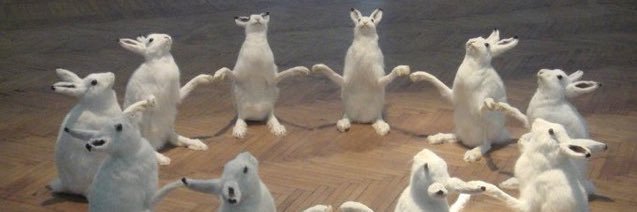 IAmRabbitPriv banner