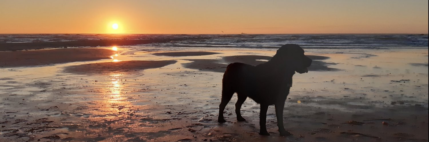 Bart Baselmans banner