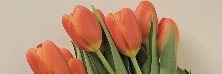 LAAV1122's profile banner image