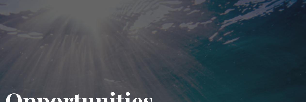 Alinga Web Design banner