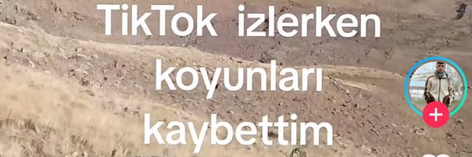 veronika 🪩🐅 banner