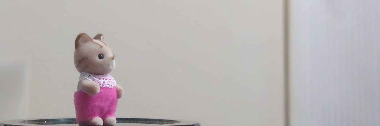 karomehu's profile banner image