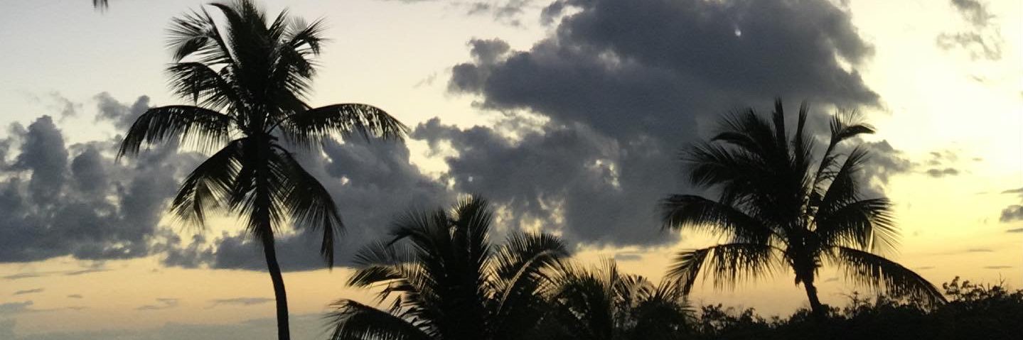 dye_ahna's profile banner image