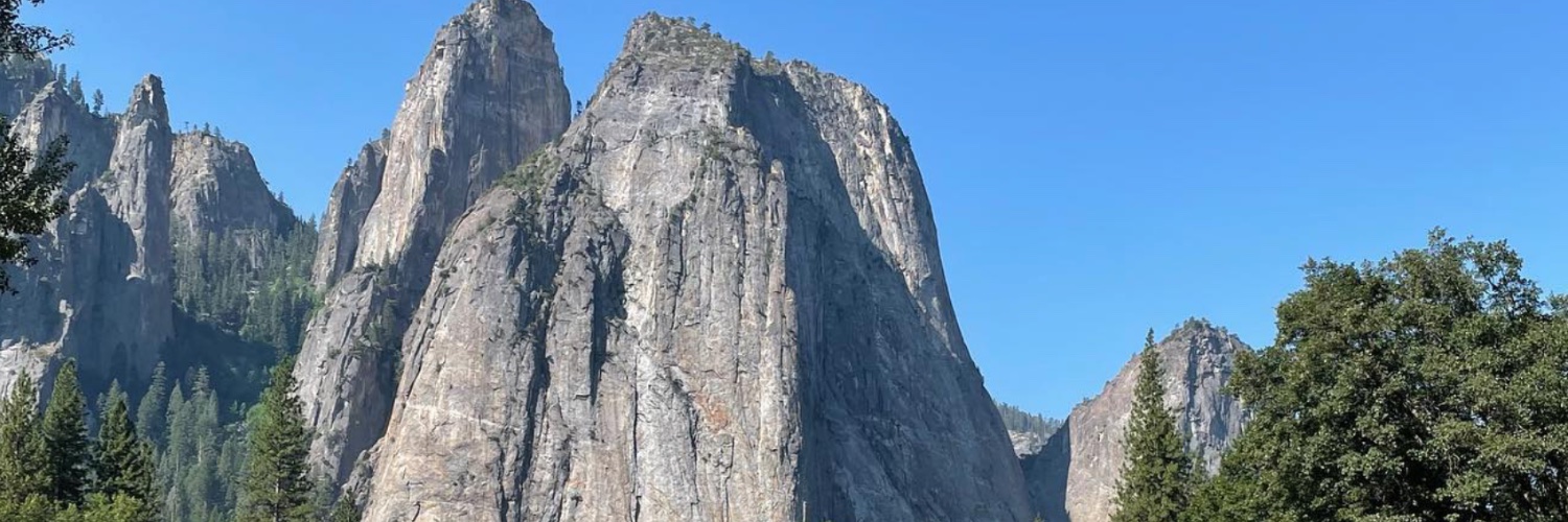 Lauren Baroletti banner