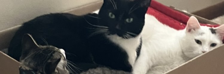 cherryberrybby7's profile banner image