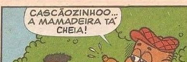 na cara 🇧🇷 banner