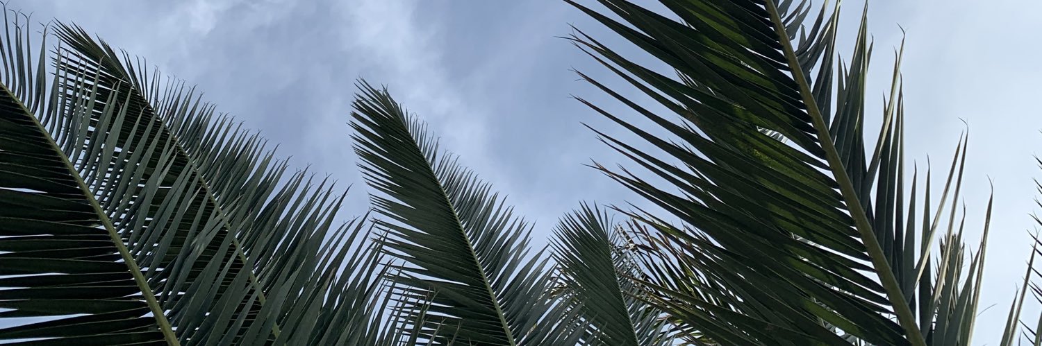 xFunJorgex's profile banner image