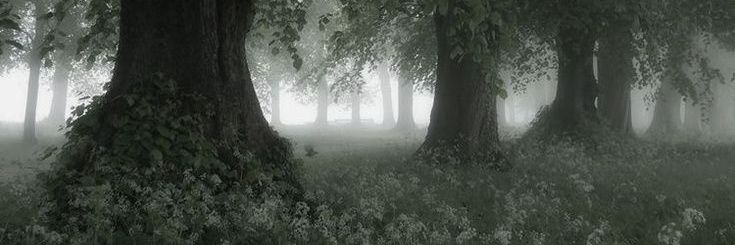 talont_VT's profile banner image