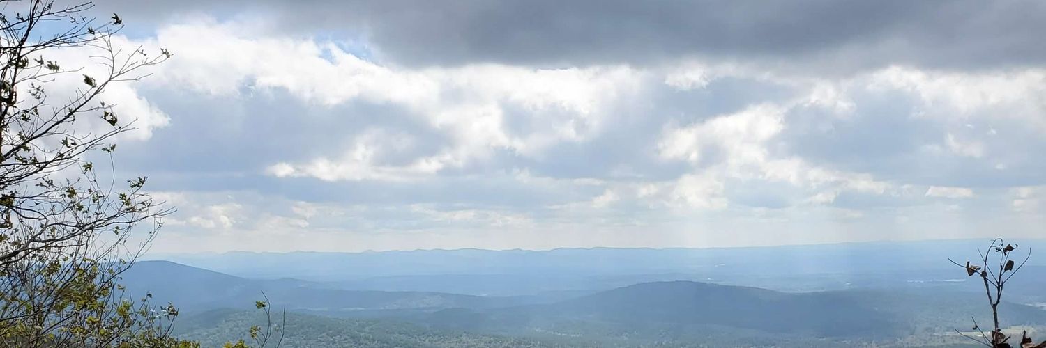 SunnyPointwell banner