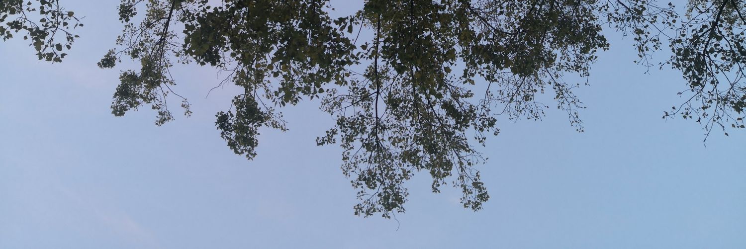 MizoArts's profile banner image