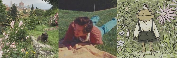 🍒 banner