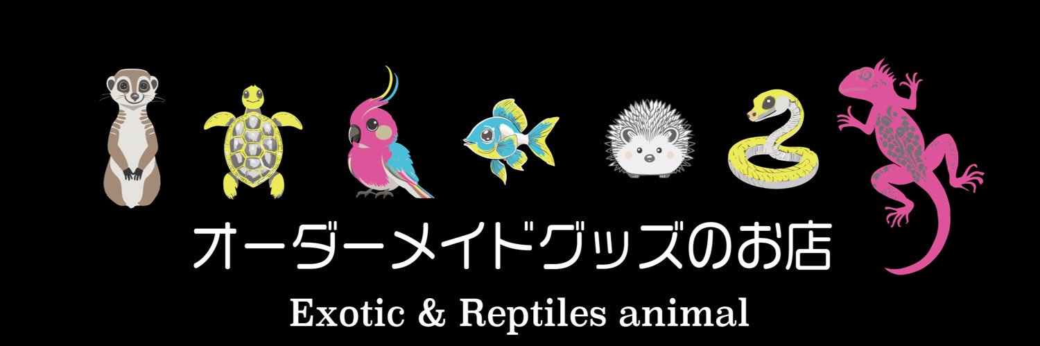 Lily wild's banner