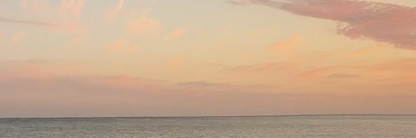 mattmalek's profile banner image