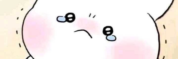 baby._.muffin banner