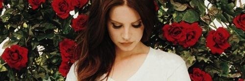 mayaadesy's profile banner image