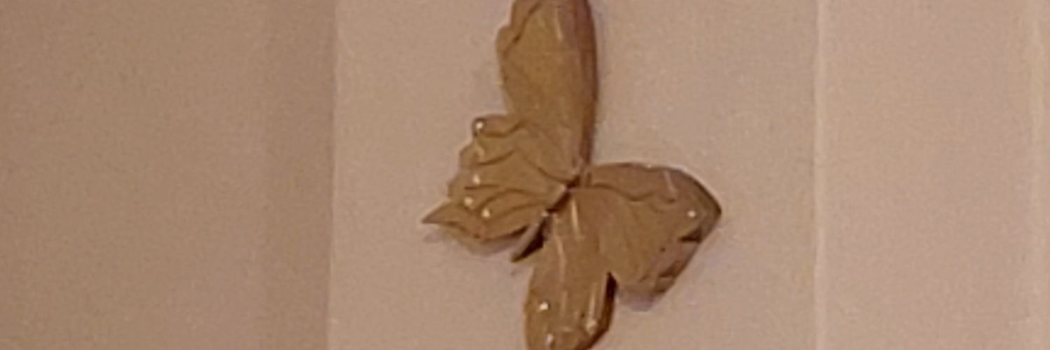 bdksvsls's profile banner image