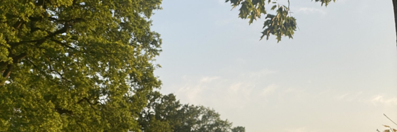 Marije Post banner
