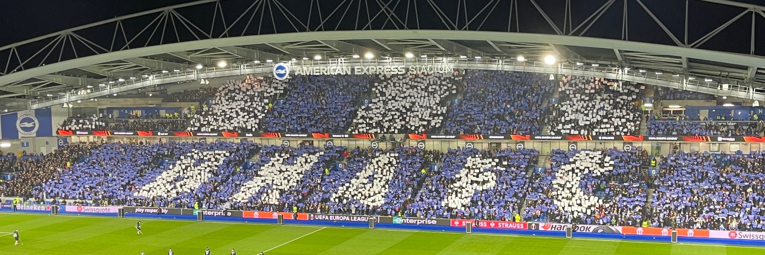 The Daily Seagull's banner