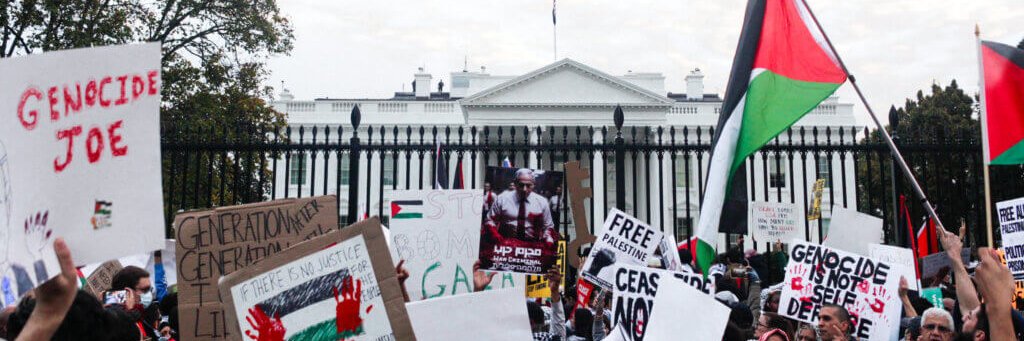 Palestine Solidarity Network banner