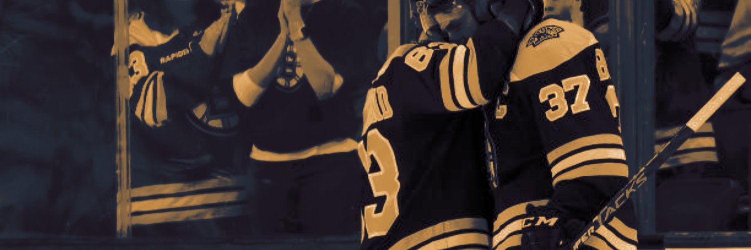 bruinsvi's profile banner image
