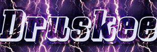 Druskee banner