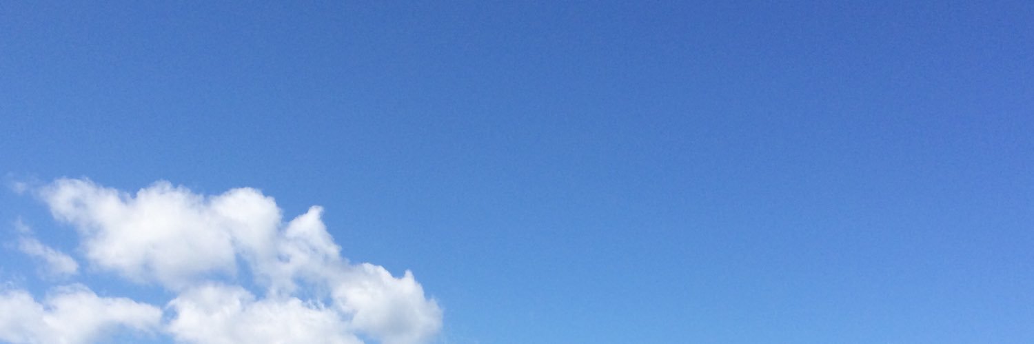n0lina's profile banner image