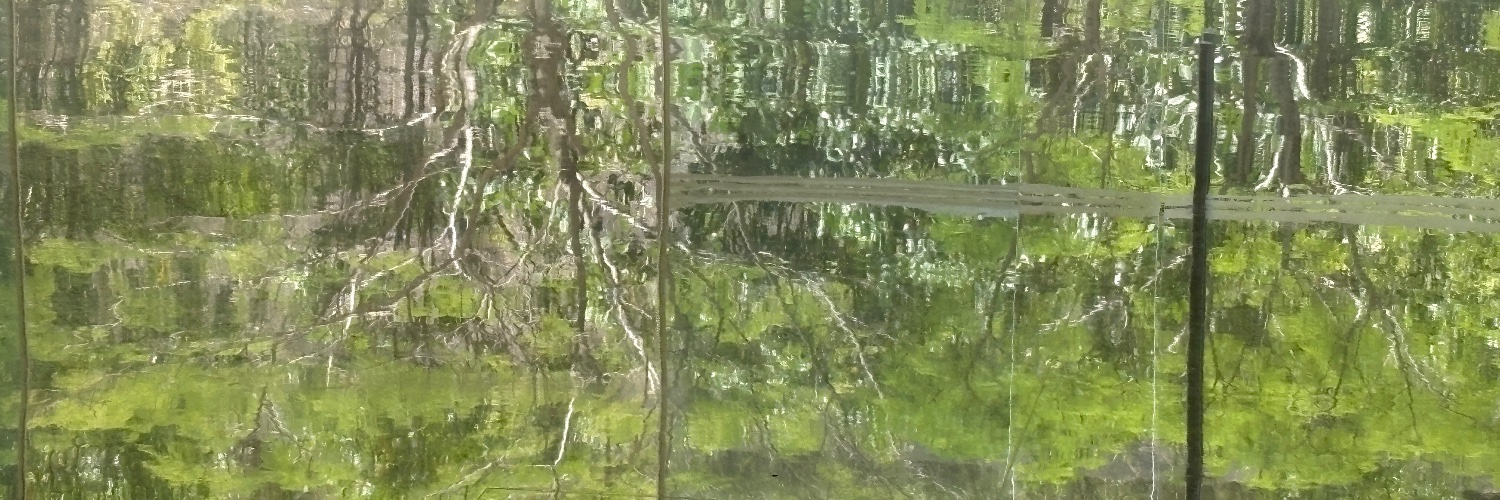 人只影单行匆匆 banner