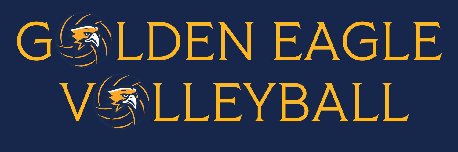 Freeman High Volleyball banner